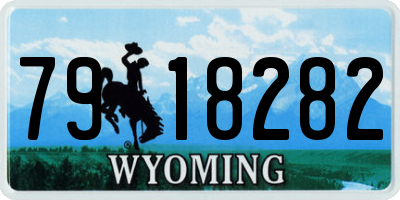 WY license plate 7918282