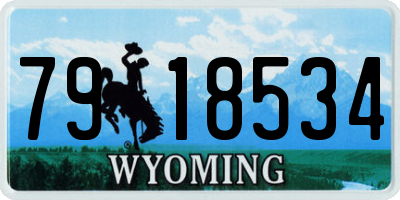 WY license plate 7918534