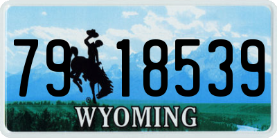 WY license plate 7918539
