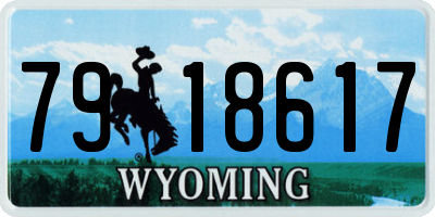 WY license plate 7918617