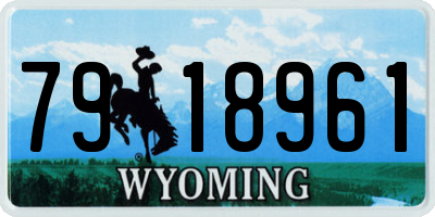 WY license plate 7918961