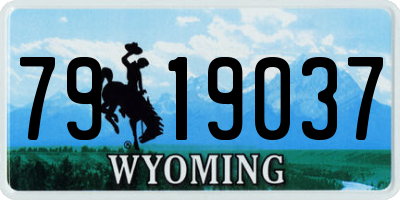 WY license plate 7919037