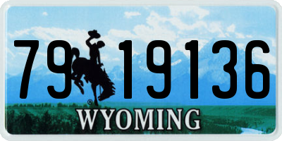 WY license plate 7919136