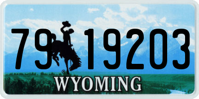 WY license plate 7919203