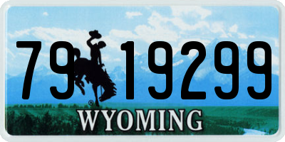 WY license plate 7919299