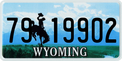WY license plate 7919902