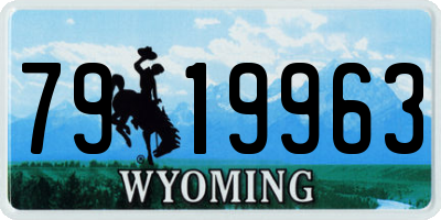 WY license plate 7919963