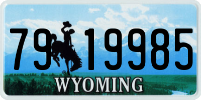 WY license plate 7919985