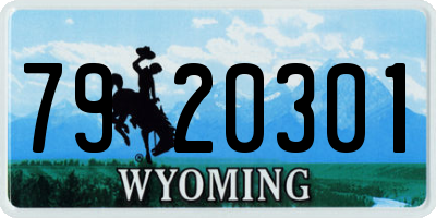 WY license plate 7920301