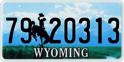 WY license plate 7920313