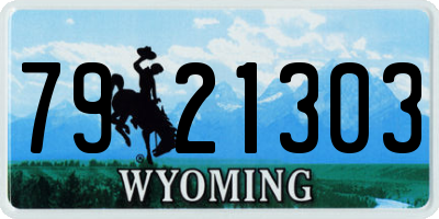 WY license plate 7921303