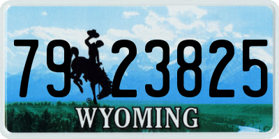 WY license plate 7923825