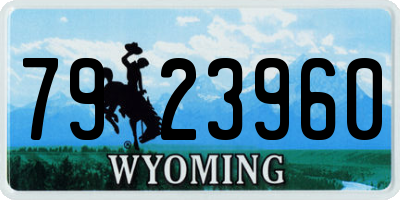 WY license plate 7923960