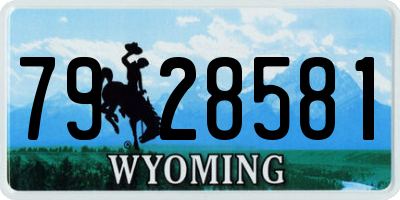 WY license plate 7928581