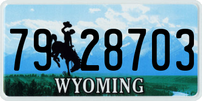 WY license plate 7928703