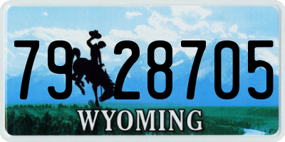 WY license plate 7928705