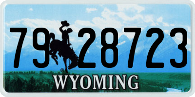 WY license plate 7928723