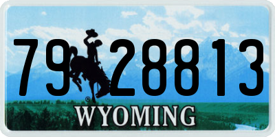 WY license plate 7928813