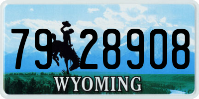 WY license plate 7928908