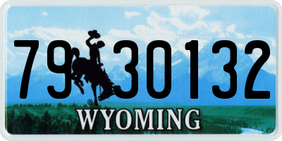 WY license plate 7930132