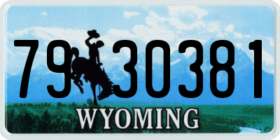WY license plate 7930381