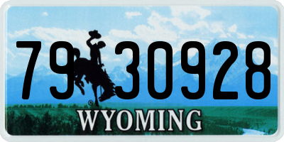 WY license plate 7930928