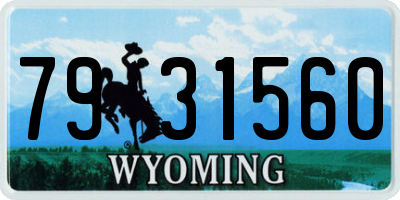 WY license plate 7931560