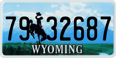 WY license plate 7932687