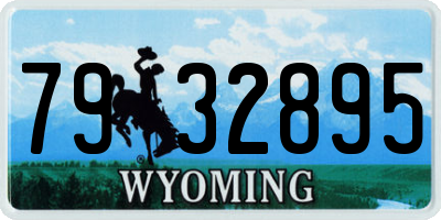 WY license plate 7932895