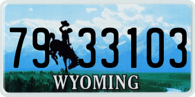 WY license plate 7933103