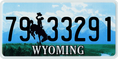 WY license plate 7933291