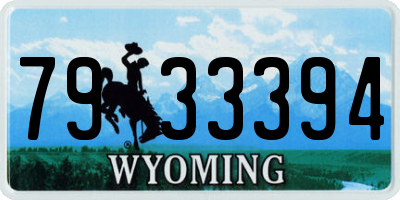 WY license plate 7933394