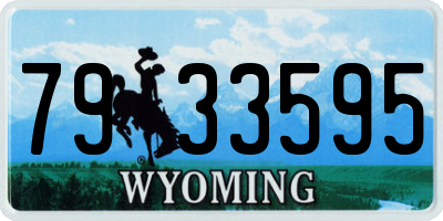 WY license plate 7933595