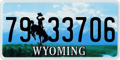 WY license plate 7933706