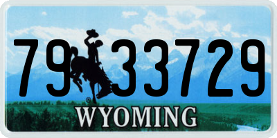 WY license plate 7933729