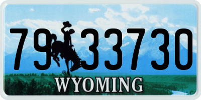 WY license plate 7933730