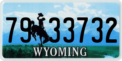 WY license plate 7933732