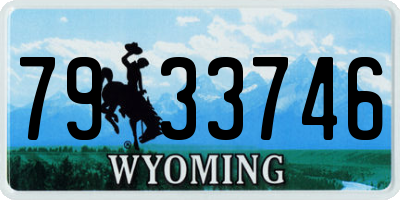 WY license plate 7933746