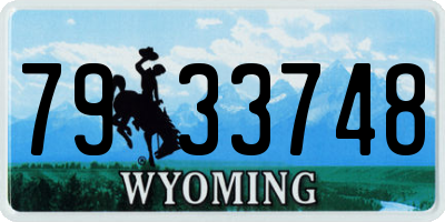 WY license plate 7933748