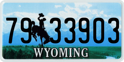 WY license plate 7933903