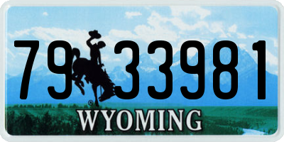 WY license plate 7933981
