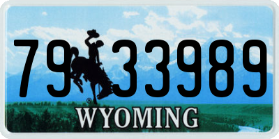 WY license plate 7933989