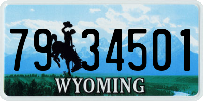 WY license plate 7934501