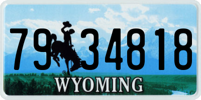 WY license plate 7934818
