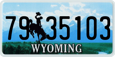 WY license plate 7935103