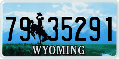 WY license plate 7935291