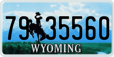 WY license plate 7935560