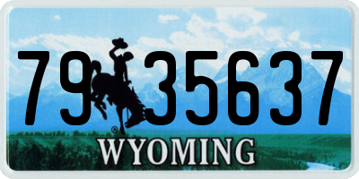 WY license plate 7935637
