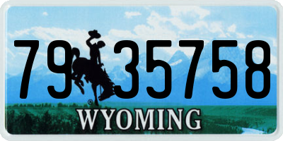 WY license plate 7935758