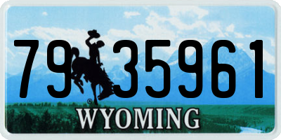 WY license plate 7935961